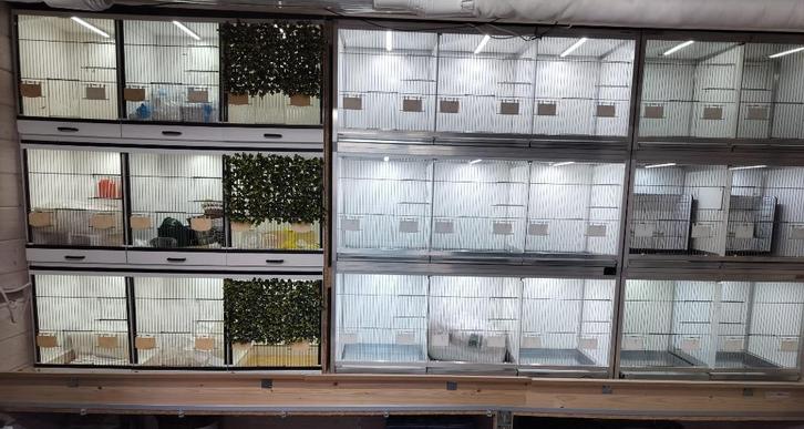 broedkooien, Dieren en Toebehoren, Vogels | Hokken en Kooien, Gebruikt, Broedkooi of Kweekkooi, Overige materialen, Ophalen