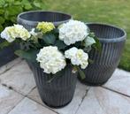 Set van 3 zinken potten, Tuin en Terras, Overige materialen, Rond, Nieuw, Tuin