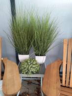 Kunstplanten gras siergras in pot + los bolplantje, Ophalen, Zo goed als nieuw, Binnen