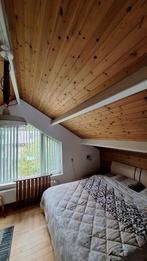 Schrootjes hout, Doe-het-zelf en Verbouw, Hout en Planken, Ophalen, Gebruikt, Minder dan 25 mm, Plank
