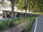 Te huur: Bedrijfspand nieuwbouw - Breukelen 2 lagen (156 m2), 156 m², Huur, Bedrijfsruimte
