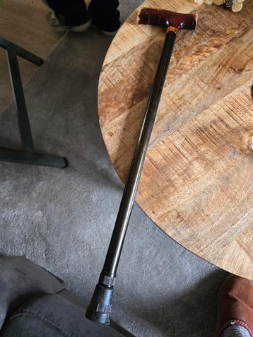 Wandelstok beschikbaar voor biedingen