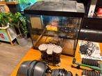 Aquarium 25L met veel accessoires, Dieren en Toebehoren, Reptielen en Amfibieën | Toebehoren, Ophalen, Zo goed als nieuw