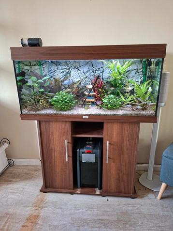Mooie Juwel aquarium met vele toebehoren! beschikbaar voor biedingen
