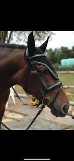 Lak hoofdstel, Ophalen of Verzenden, Zo goed als nieuw, Dressuur