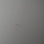 Zanotta Tod Design Bijzettafel | Wit | 52 cm | Tafels, 45 tot 60 cm, Gebruikt, -, Rond