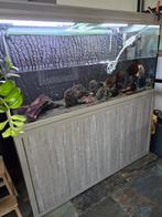 Aquarium, Ophalen, Zo goed als nieuw, Leeg aquarium