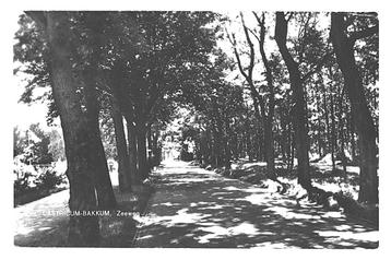 952731	Castricum	Bakkum	Zeeweg 1963 NH	Gelopen met postzegel beschikbaar voor biedingen