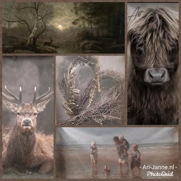 Stoere, landelijke tuinposters, poster, pvc doek, decoratie beschikbaar voor biedingen