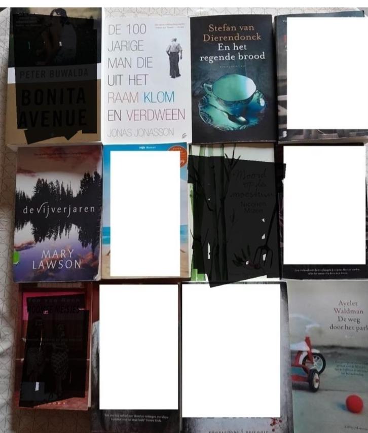 Waldman Ayelet : De weg door het park, Boeken, Romans, Ophalen of Verzenden