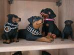 Rottweiler beeldjes 13 stuks, Ophalen of Verzenden, Zo goed als nieuw, Dier