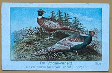 reclamekaartje litho fazant de Jong chocolade Wormerveer beschikbaar voor biedingen
