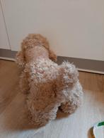 Labradoodle hond knuffel 35 cm, Ophalen of Verzenden, Hond