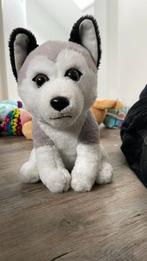 Husky knuffel, Ophalen of Verzenden, Zo goed als nieuw, Overige typen