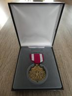 Meritorious Service medal., Verzamelen, Militaria | Tweede Wereldoorlog, Amerika, Ophalen of Verzenden, Landmacht, Lintje, Medaille of Wings