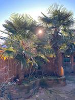 Stapelstenen voor tuin, Ophalen, Gebruikt, Beton, Klinkers