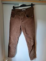 Bruine Red Button broek, Kleding | Dames, Broeken en Pantalons, Maat 38/40 (M), Bruin, Ophalen of Verzenden, Lang