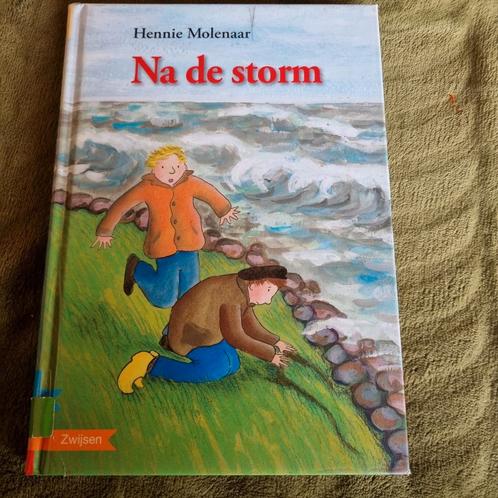 Hennie Molenaar - Na de storm - AVI E7 familie / historie, Boeken, Kinderboeken | Jeugd | onder 10 jaar, Gelezen, Ophalen of Verzenden