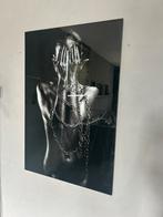 Plexiglass schilderij 80x120, Antiek en Kunst, Ophalen of Verzenden