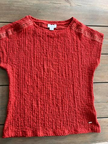 Zgan shirt van Cotton Club beschikbaar voor biedingen