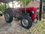 Ferguson FE35 goudbuikje, Ophalen