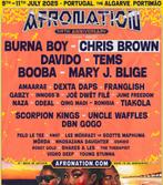 2 x general admission ticket afronation, Twee personen