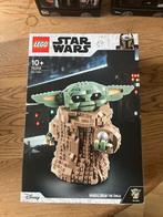 Lego the child 75318, Ophalen of Verzenden, Nieuw