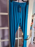 chrissize broek maat 2 de laatste, Kleding | Dames, Ophalen of Verzenden, Nieuw, Maat 46/48 (XL) of groter