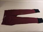 Bordeaux rode rijbroek Merk Animo maat 10 jaar, Dieren en Toebehoren, Ophalen of Verzenden, Gebruikt, Kinderen, Onderkleding