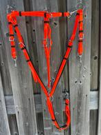 Borsttuig met afneembare martingaal, Dieren en Toebehoren, Paarden en Pony's | Hoofdstellen en Tuigage, Ophalen of Verzenden, Nieuw