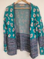 Glitter vestje Josh V maat M, Kleding | Dames, Ophalen of Verzenden, Zo goed als nieuw, Maat 38/40 (M)