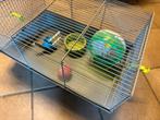 Hamsterhok 38x25x22 + looprad, voer/drink, knaagsteen, Zo goed als nieuw, Hok, Ophalen, Minder dan 60 cm