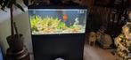 SPLENDID ULTRA 120x50 met alle toebehoren en vissen., Dieren en Toebehoren, Vissen | Aquaria en Toebehoren, Ophalen, Gebruikt