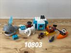 Duplo poolgebied 10803 (compleet) 1, Ophalen of Verzenden, Zo goed als nieuw, Complete set, Duplo