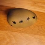 squizy ei, Ophalen of Verzenden, Nieuw, Jongen of Meisje