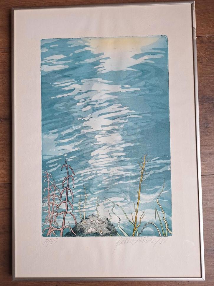 Sjoerd Bakker - Oever, Antiek en Kunst, Kunst | Etsen en Gravures, Ophalen of Verzenden