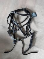 Nieuw QHP bruin met wit onderlegd hoofdstel, Dieren en Toebehoren, Ophalen of Verzenden, Nieuw
