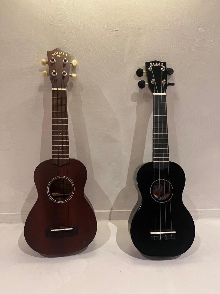 Zwart & houtkleurige Ukulele te koop!, Ophalen, Nieuw, Overige typen