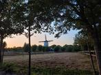 Weide met stallen en bak op het mooiste stukje van kloetinge, Dieren en Toebehoren
