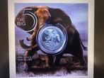 2024 South Africa - Big Five III Elephant - 1 oz silver in b, Ophalen of Verzenden, Zuid-Afrika, Losse munt, Zilver