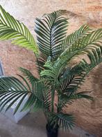 arecapalm x15 blad 150 cm nieuw plus  extra ! nieuw, Ophalen, Binnen, Nieuw, ...