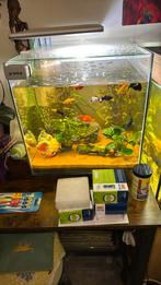 Gezocht Gratis Aquarium , Vissen, Decoratie En Planten, Ophalen, Zo goed als nieuw, Leeg aquarium