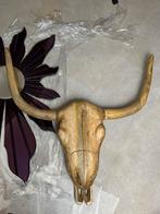 Wanddecoratie buffel hoofd, Ophalen