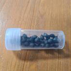 Eitjes en nimfen Sungaya Aeta, Dieren en Toebehoren, Wandelende tak