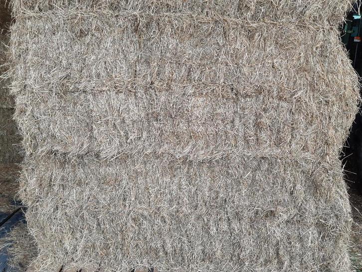 Hooi pakken A kwaliteit, Dieren en Toebehoren, Dierenvoeding, Vee, Ophalen