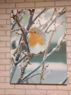 Canvas Schilderij Roodborstje 60x80 cm, Huis en Inrichting, Woonaccessoires | Schilderijen, Tekeningen en Foto's, 50 tot 75 cm