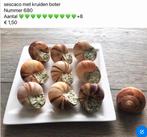 Div decoratie nep snacks kruidenboter sausjes enz, Ophalen, Nieuw