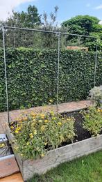 Makkelijke Moestuin Klimrek | 210 x 180 cm, Tuin en Terras, Kweekspullen, Ophalen, Gebruikt, Kweekbak