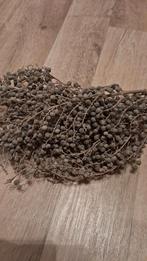 Te koop 2 mooie dadeltakken., Ophalen, Zo goed als nieuw