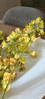 Prachtige lange Silk-ka Silkka zijde bloementakken, Huis en Inrichting, Woonaccessoires | Overige, Ophalen of Verzenden, Nieuw